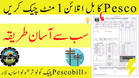 Check Pesco Duplicate Bill Online 14 Digit Reference Number