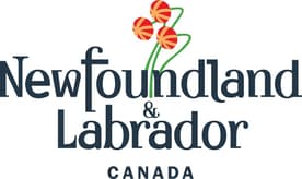 Newfoundland Canada Immigration from Pakistan Guide