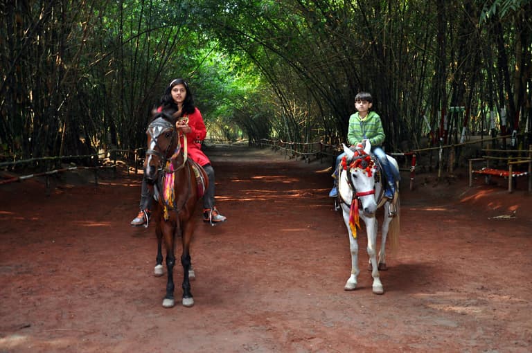 Rana Resort & Safari Park Lahore
