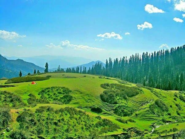 Malam Jabba Tour Guide & Hotel Details