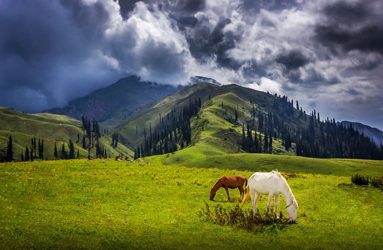 A Travel Guide to Shogran